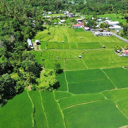 De Chicktoria Hostel Pemenang Bagian luar foto