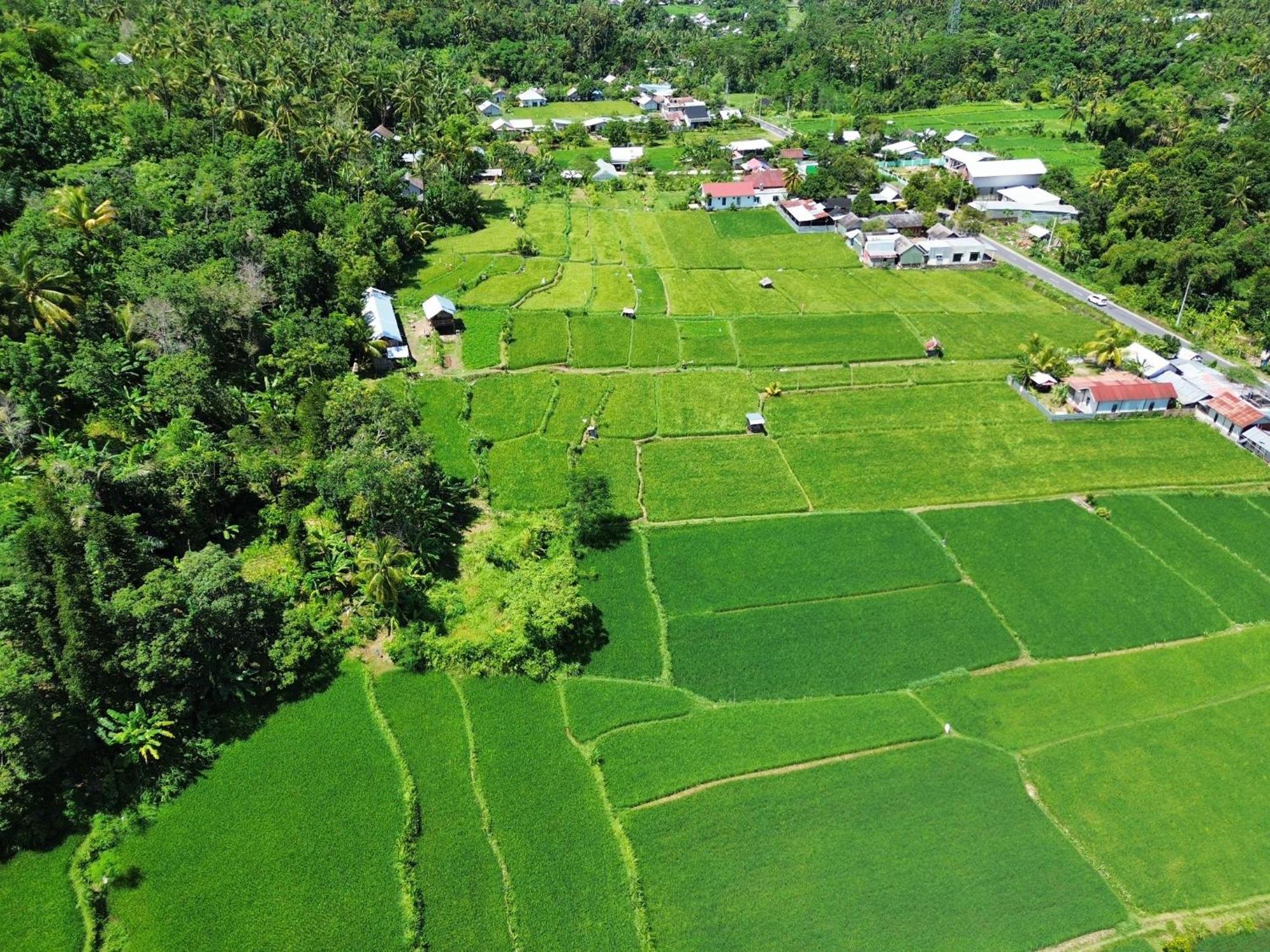 De Chicktoria Hostel Pemenang Bagian luar foto